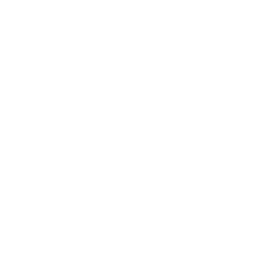 maple logo מייפל לוגו