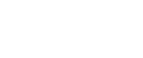 shlomo naor logo 2