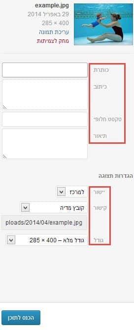 מדריך לבניית אתרים וורדפרס media-image-properties