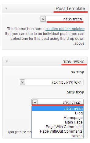 מדריך לבניית אתרים וורדפרס page-formats